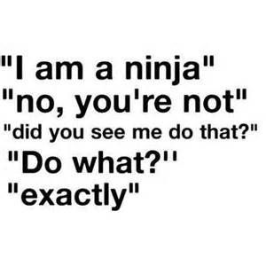 Ninja Quotes, Ninja Quote, Thoughts For The Day, I Am Not Afraid, Quirky Quotes, Fun World, Funny Picture Quotes, Not Afraid, Quotes For Kids