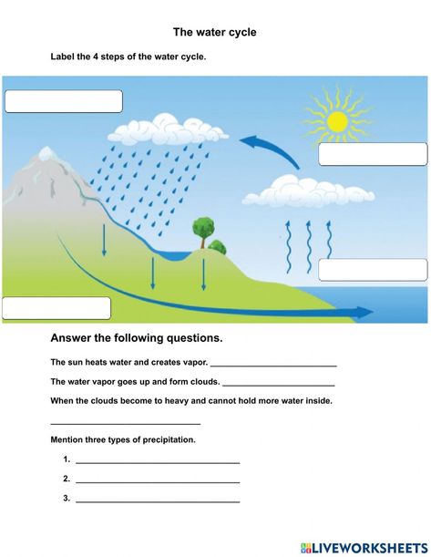 Student Questionnaire, Types Of Precipitation, Water Cycle Worksheet, Perimeter Worksheets, The Water Cycle, Apple 7, Geography Map, Grade Spelling, Science Activities For Kids