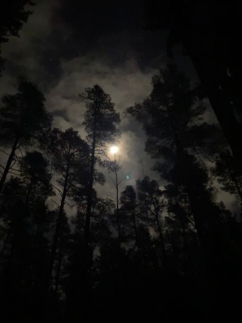 Long Tulle Skirt, Dark Naturalism, Dark Forest Aesthetic, Dark Landscape, Dark Nature Aesthetic, Night Scenery, Pretty Landscapes, Party Dinner, Night Aesthetic