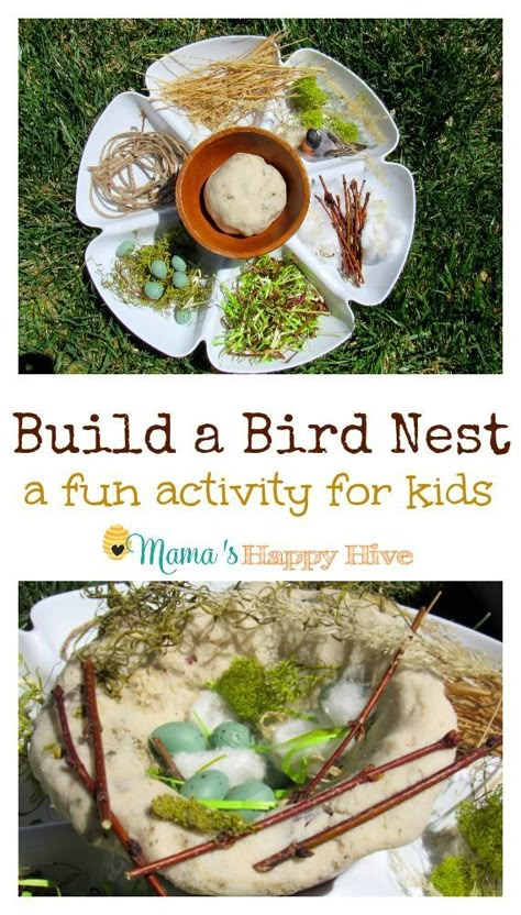 Children love sensory play! This is an easy build a bird nest activity your child will love! - www.mamashappyhiv... Build A Bird Nest, Forest School Activities, Nature School, Spring Preschool, Easy Build, Outdoor Classroom, Bird Theme, Preschool Science, Forest School