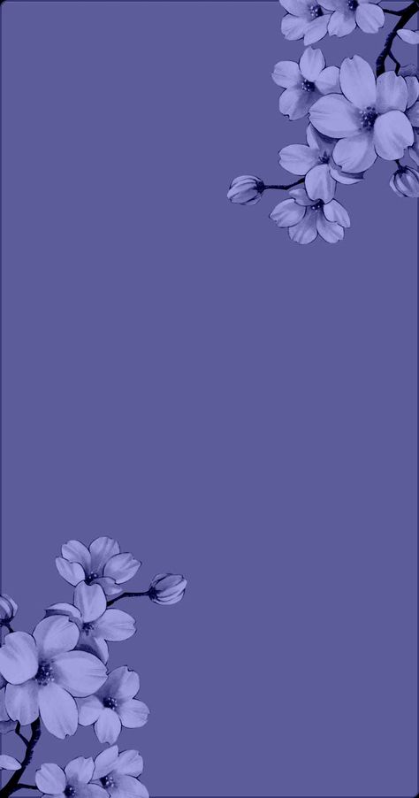 Simple Wallpaper, Cute Blue Wallpaper, Flowers Photography Wallpaper, Simple Phone Wallpapers, Cute Tumblr Wallpaper, Flower Iphone Wallpaper, Pretty Backgrounds, Purple Wallpaper Iphone, Cute Simple Wallpapers