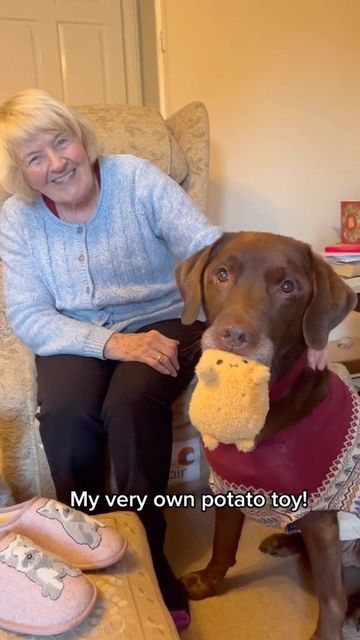 Good Boy Ollie 🐶 on Instagram: "Ollie’s favourite person 👵🏻🥔" Ollie And Tato Videos, Good Boy Ollie Videos, Good Boy Ollie Dog, Good Boy Ollie, Sweet Videos, Dog Humor, Precious Animals, Good Boy, Cute Funny Dogs