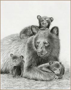 bear cub tattoos | photo | tattoos | Pinterest | Tattoo Photos ... Bear Cubs Tattoo, Momma Bear Tattoo, Bear With Cubs, Charcoal Ideas, Things To Draw Ideas, To Draw Ideas, Black Bears Art, Drawing With Charcoal, Cubs Tattoo