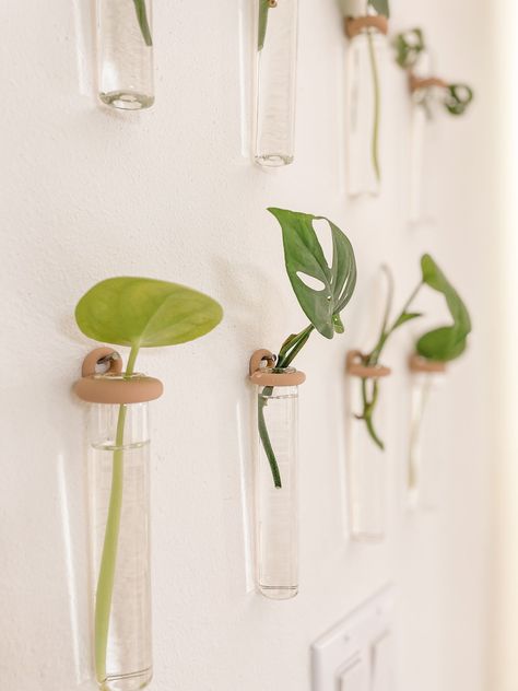 Diy Propagation Station, Diy Propagation, Hanging Plant Ideas, Indoor Climbing Plants, Wall Vase Decor, Diy Wall Planter, Indoor Planting, Plant In Glass, Indoor Plant Wall