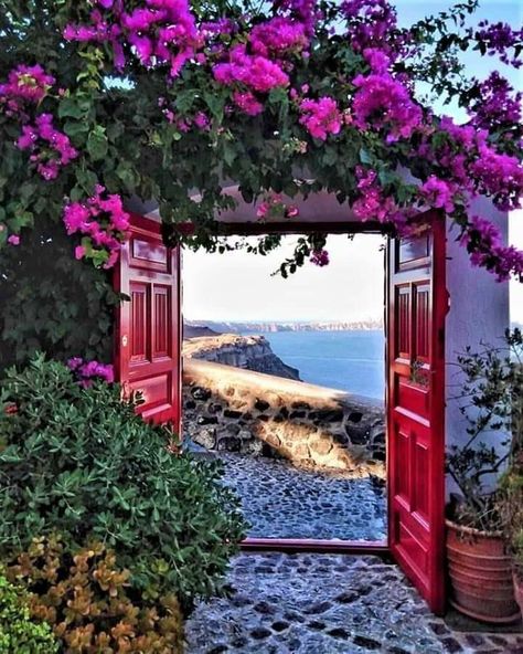 Santorini Santorini Greece, Beautiful Doors, Jolie Photo, Landscaping Plants, Magical Places, Greece Travel, Greek Islands, Cool Plants, Wonderful Places