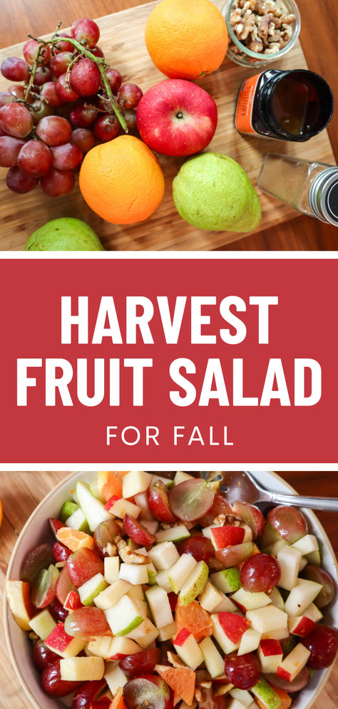 Harvest Fruit Salad for Fall Fruit Salad Fall, Fall Fruit Salad, Steampunk Decorations, Thanksgiving Fruit Salad, Salad Fall, Natural Nurturer, Salad Decoration, Thanksgiving Fruit, Harvest Fruit