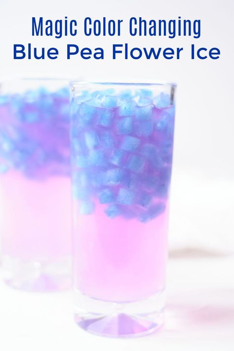 Tea Magick, Avatar Birthday, Ice Ideas, Fancy Ice Cubes, Ice Recipe, Pea Flower Tea, Flower Ice Cubes, Flavored Ice Cubes, Icee Recipe