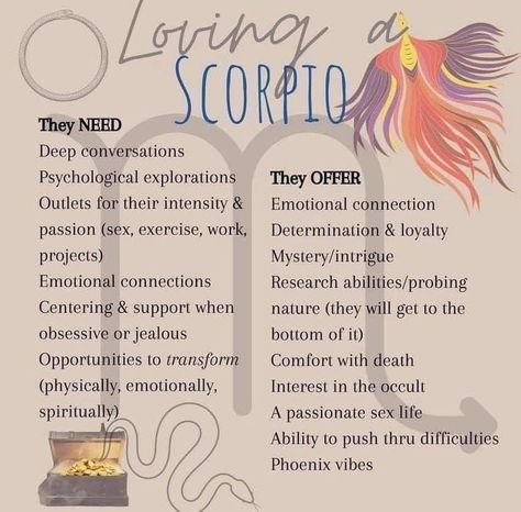 Scorpio Zodiac Facts Women, Zodiac Quotes Scorpio, Love My Wife Quotes, Scorpio Rising, Scorpio And Capricorn, Scorpio Traits, Scorpio Love, Scorpio Zodiac Facts, Scorpio Quotes