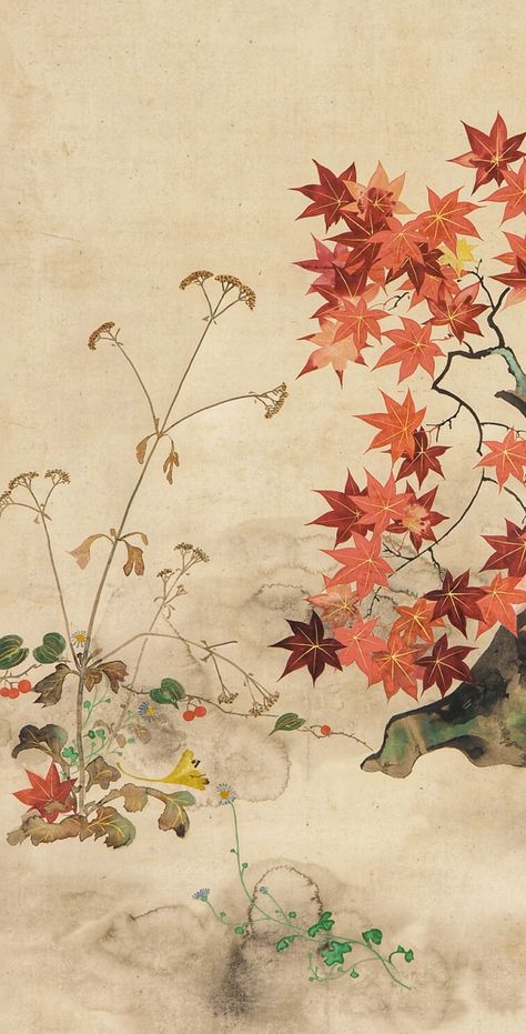 Detail. Japanese Maple and Autumn Plants. Japanese hanging scroll. 酒井鶯蒲 Sakai Oho. Ink and color on paper. Edo period. Rimpa School. Japanese Scroll Painting, Japanese Fall Wallpaper, Japanese Autumn Aesthetic, Edo Period Art, Fall Japan, Rinpa School, Japanese Scroll, Autumn Plants, Japanese Autumn