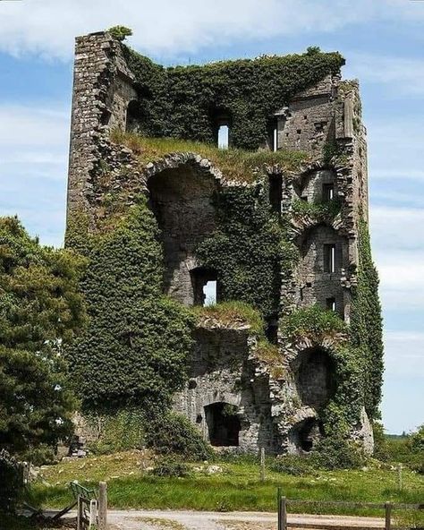 Fantasy Architecture, Beautiful Ruins, Urban Exploring, Castles In Ireland, Abandoned Castles, Nature Architecture, Castle Ruins, Beautiful Castles, Old Building