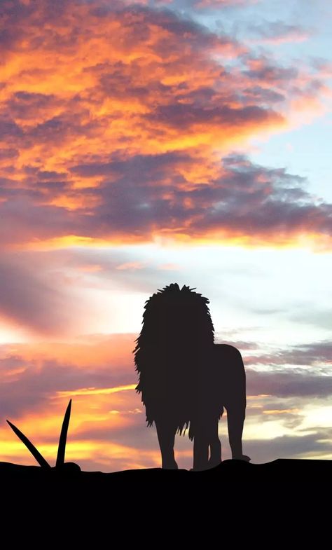 Africa iPhone Wallpapers - Wallpaper Cave Iphone Wallpaper Size, Africa Silhouette, Africa Sunset, Horse Background, Silhouette Sunset, Iphone 6 Plus Wallpaper, 4k Wallpaper Iphone, Lion Wallpaper, Iphone Wallpaper Hipster