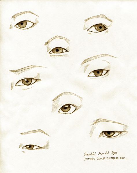 Monolid Eye Reference Sheet To follow up my... | Nimbus Makes Shit Monolid Eyes, Male Figure Drawing, Realistic Eye Drawing, Tumblr Drawings, Eye Sketch, Human Figure Drawing, Face Sketch, Small Drawings, Asian Eyes