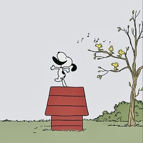 Snoopy Dancing, Snoopy Doghouse, Snoopy Dog House, Dog Houses, Dancing, Snoopy