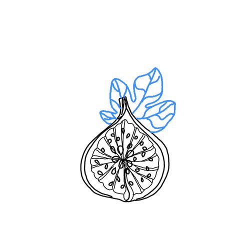 fig-06 Vine And Fig Tree Tattoo, Fig Tree Drawing Simple, Fig Tree Branch Tattoo, Fig Drawing Simple, Fine Line Fig Tattoo, Fig Line Drawing, Simple Fig Tattoo, Fig Tree Tattoo The Bell Jar, Fig Leaves Tattoo