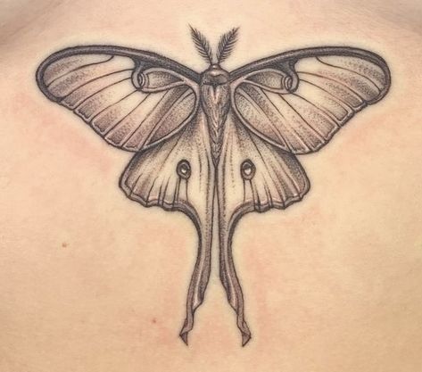 Moth Tattoo, Tattoo Design Book, Tattoo Life, Design Book, Creative Tattoos, Tattoo Inspo, Life Tattoos, Lotus Flower Tattoo, Tattoos And Piercings