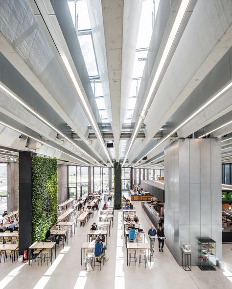 COBE completes new headquarters for adidas in southern germany Cobe Architects, Urban Living Room, Danish Architecture, Signage System, Event Hall, Roof Covering, Adidas New, Roof Structure, Adidas Campus