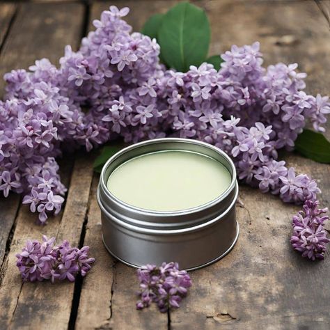 Medicinal Herbs Remedies, Herbal Medicine Recipes, Salve Recipes, Infused Oil, Lilac Blossom, Easy Recipes For Beginners, Herbal Recipes, Herbal Healing, Infused Oils