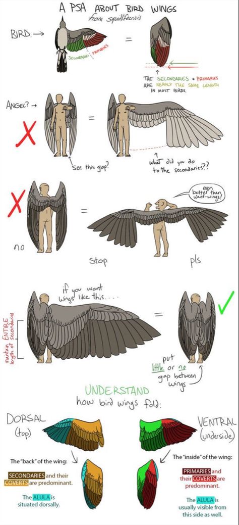 Drawing Reference Poses Wings, Wing Anatomy, Winged People, Bird People, Wings Drawing, Bird Sketch, Sketches Of People, Anatomy Sketches, Wings Art