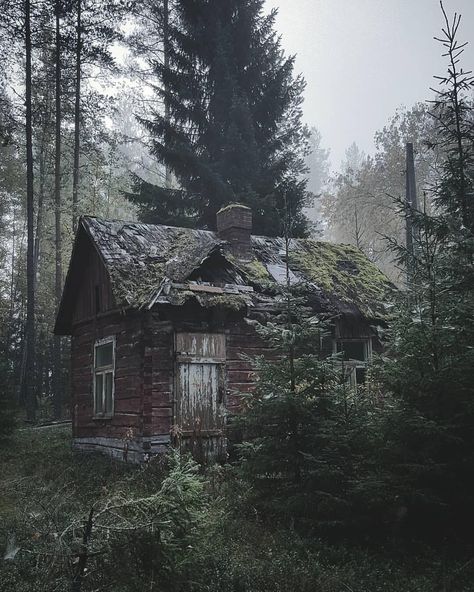 Smallest House, Vsco Travel, Ecological House, Outdoor Survival Gear, Bushcraft Camping, Cottage In The Woods, Alaska Travel, Cabin In The Woods, Cabins And Cottages