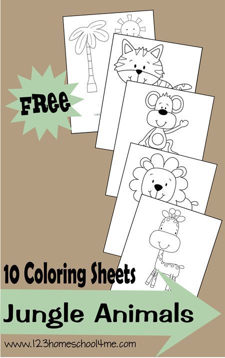 Super cute free printable coloring pages with a jungle theme. These animal coloring sheets are great for toddler, preschool, kindergarten, and more. Preschool Jungle, Zoo Preschool, Jungle Crafts, Jungle Animal Art, Zoo Crafts, Jungle Classroom, Jungle Theme Classroom, Jungle Thema, Baby Animal Art