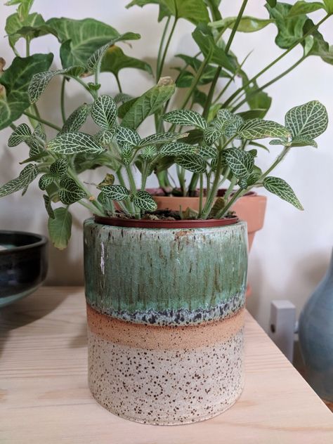 Speckled buff clay. Orange beige glaze on bottom half. Strip of unglazed clay through the middle. Top half is satin matte green with clear over it. Inside is just clear glaze. Speckled Clay Glaze Ideas, Green Glazes For Pottery, Textured Autumn Glaze Combinations, Speckled Buff Glaze Combos, Sage Glaze Combinations, Glaze Ideas Ceramics, Speckled Ceramics, Glazed Plant Pots, Speckled Clay Pottery