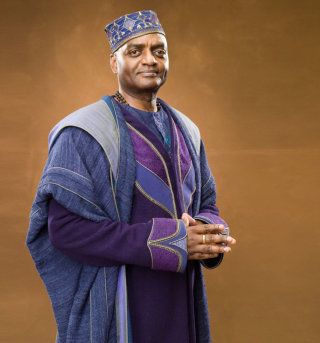 Kingsley Shacklebolt in some colourful robes from the Order of the Pheonix Wizarding Robes, Kingsley Shacklebolt, Hp Outfits, Weasley Is Our King, Harry Potter And Friends, Room Of Requirement, Hp Christmas, Nymphadora Tonks, Hp Characters