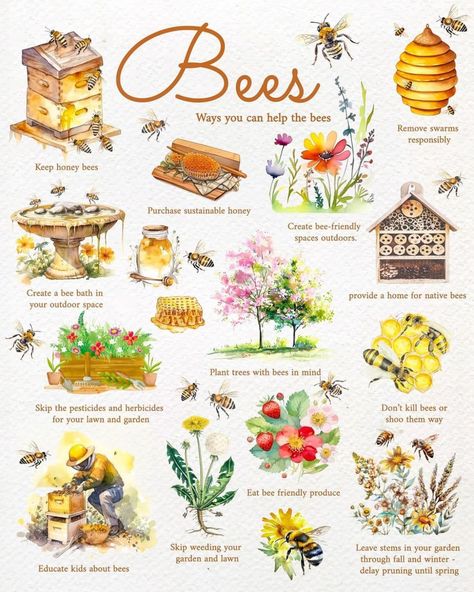 Bee Apiary Design, Cottagecore Life, Happy Homemaking, Cottagecore Living, Environmentally Friendly Living, Future Garden, Bee Friendly, Garden Inspo, Community Garden