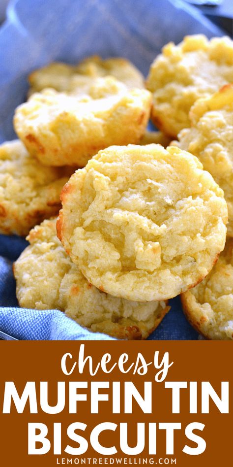 Easy Cheesy Muffin Tin Biscuits are rich, buttery, and loaded with the delicious flavor of pepper jack cheese. They come together in just 5 minutes and make the perfect addition to your holiday table! Muffin Pan Recipes, Biscuit Ideas, Biscuit Recipes, Muffin Tin Recipes, Tea Biscuits, Cheese Biscuits, Biscuits Recipe, Easy Cheesy, Pepper Jack Cheese