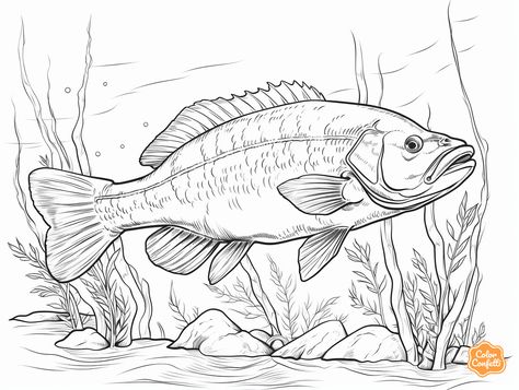 illustration of Elegant bass coloring sheet Bass Coloring Pages, Fish Coloring Pages Free Printable, Fishing Coloring Pages, Fish Coloring, Mandala Turtle, Fish Coloring Page, Coloring Page For Adults, Underwater Scene, Aquatic Animals