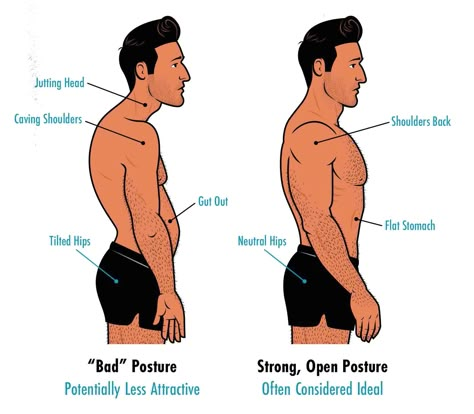 How to Build an Attractive Physique | Bony to Beastly Male Proportions, Muscle Gain Workout, Aesthetics Bodybuilding, Ideal Male Body, Aesthetic Physique, Best Physique, Workouts For Men, Gym Workouts For Men, Posture Exercises