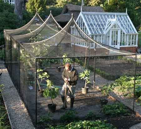 TARA DILLARD: Reactive vs. Proactive Gardening Protected Vegetable Garden, Gardening Website, Fruit Cages, Plantarea Legumelor, Fruit Cage, Enclosed Garden, Garden Netting, Potager Garden, Dream Yard