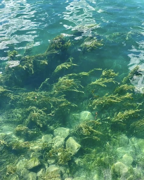 source. @unknown Sunlight On Water, Water Blue, Water Water, Ocean Water, Sunny Beach, Peaceful Places, Source Unknown, Birds Eye, Green Stone