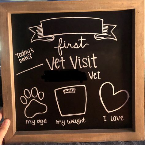 Vet Consult Room Ideas, Veterinary Clinic Organization Ideas, First Vet Visit Board, Vet Clinic Decor Ideas, Vet Clinic Halloween Decor, Euthanasia Room Vet Clinic Ideas, Veterinary Clinic Decor, Veterinary Office Decor, Veterinary Exam Room Ideas