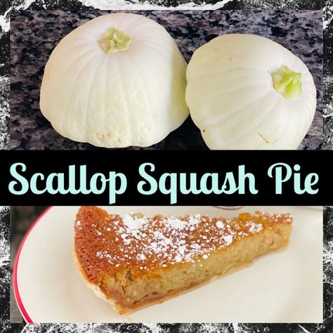 Yellow Bush Scallop Squash Recipe, Summer Scallop Squash Recipes, Scallop Squash Recipes White, Early White Bush Scallop Squash Recipes, White Scallop Squash Recipes, Scalloped Squash Recipes, White Squash Recipes, White Patty Pan Squash Recipe, Scallop Squash Recipes