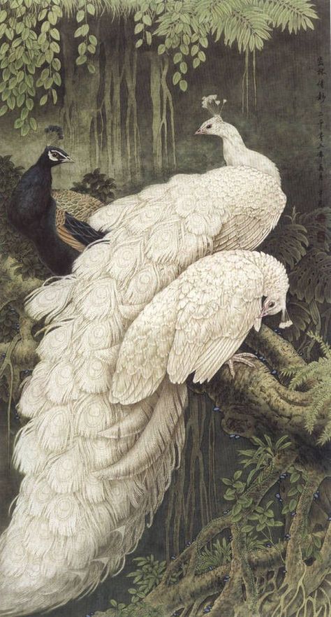 White Peacocks, American Fine Art, White Peacock, Peacock Painting, Peacock Art, Trumpets, Exotic Birds, Jolie Photo, Peacocks