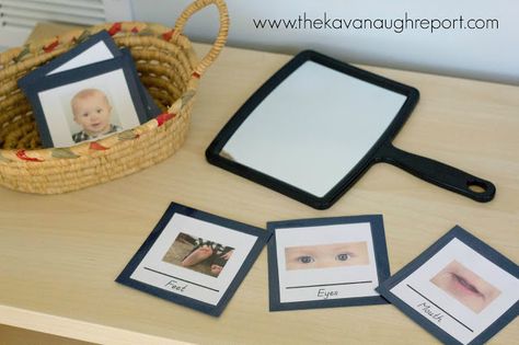 The Kavanaugh Report: Biology for Montessori Toddlers -- Self Discovery Basket with Printable Montessori Home, Toddler Montessori, Toddler Curriculum, Infant Classroom, Montessori Practical Life, Montessori Toddler Activities, Montessori Ideas, Montessori Classroom, Montessori Baby