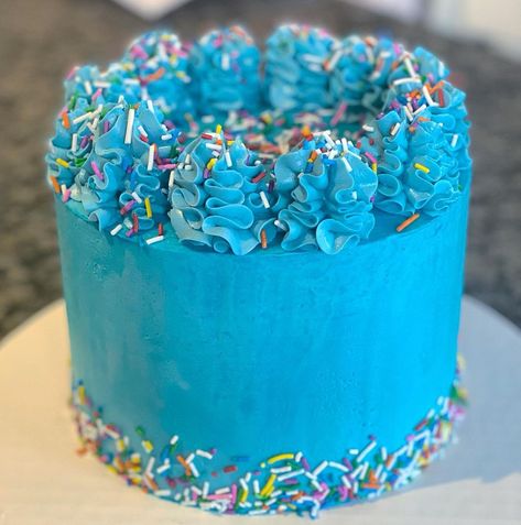 Tara De Marzo @tarademarzo on Instagram: “Kids make the best customers! They know exactly what they want and in this case it was “a blue cake with sprinkles! Done! 💙 #cake…” Blue Confetti Cake, Blue Cake With Sprinkles, Blue Birthday Cakes For Boys, Blue Sprinkle Cake, Blue Round Cake, Rnb Vibes, Blue Birthday Cake, Cake With Sprinkles, Toddler Birthday Cakes