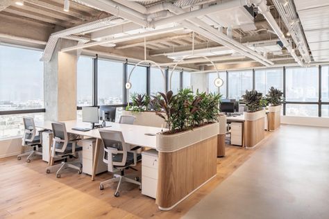 Office With Plants, Bureau Open Space, Open Concept Office, Open Office Design, Open Space Office, Office Design Inspiration, Modern Office Space, Office Interior Design Modern, Office Space Design