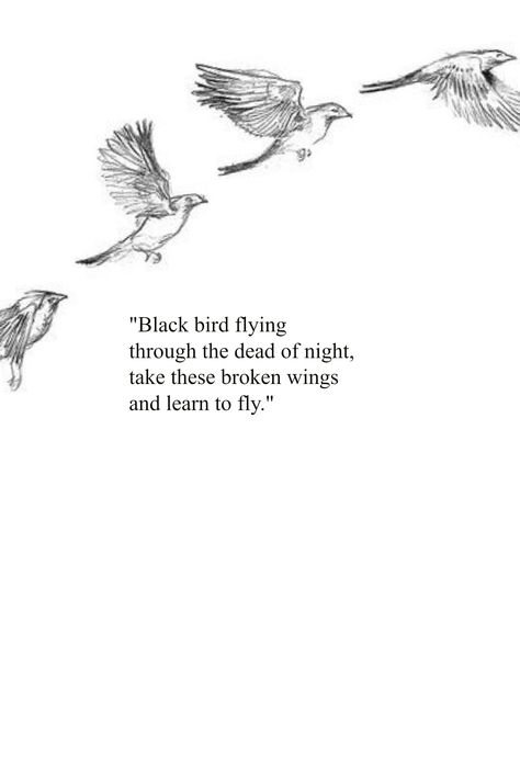 "Blackbird flying through the dead of night" the Beatles Blackbird The Beatles Tattoo, Song Lyric Tattoos Beatles, Black Bird Lyrics, Blackbird Tattoo Beatles, Blackbird Tattoo Beatles Lyrics, Blackbird Beatles, Blackbird Flying, The Beatles Blackbird, Blackbird Song