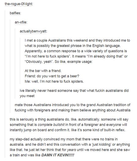 Australian Tumblr, Aussie Memes, Australian Memes, Australia Funny, Funny Tumblr, Fresh Memes, Funny Tumblr Posts, Funny Stories, Tumblr Posts