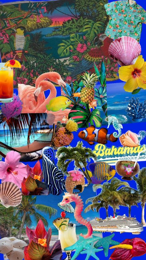 Bahamas Bahamas Themed Party, Bimini Bahamas Aesthetic, Bahamas Culture, Bahamas Aesthetic, Bach Party, Travel Aesthetic, Bahamas, Color Palettes, Travel Essentials