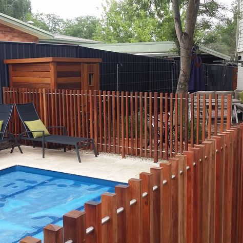 Wooden Pool Fence, Wooden Fence Around Pool, Batten Pool Fencing, Nice Pool Fence, Timber Pool Fence Ideas Australia, Timber Batten Pool Fence, Fence Around Pool, Wooden Pool, Pool Fence