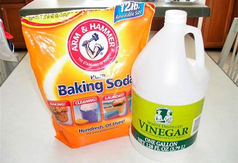 Tiny Ants, Detergent Recipe, Bible Object Lessons, Diy Laundry Detergent, Get Rid Of Ants, Science Birthday, Baking Soda Cleaning, Vinegar Cleaning, Diy Laundry