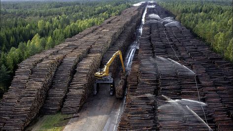 This is only 1/75 of the world's largest wood stockpile in Sweden.the entire thing measures 75 million cubic meters. Timber Storage, Logging Equipment, Big Tree, Catania, Heavy Equipment, Timber Frame, Lumber, Malta, Worlds Largest