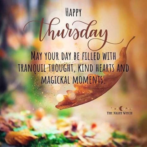 Thirsty Thursday Quotes, Thrilling Thursday, Thursday Greetings, October Quotes, Thursday Humor, Happy Thursday Quotes, Good Morning Thursday, Thursday Quotes, Witch Quotes