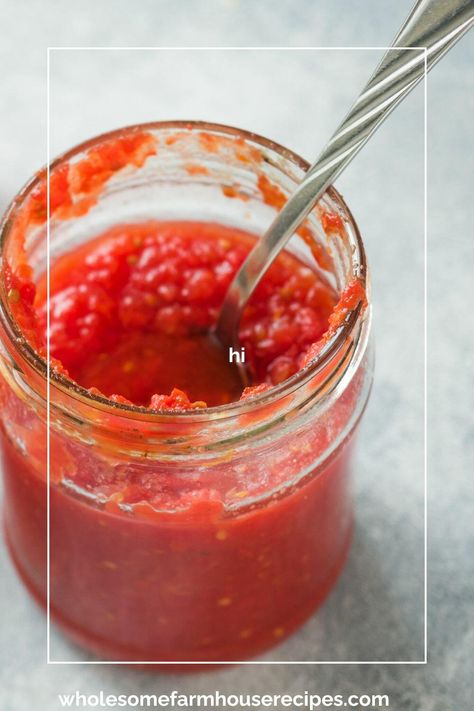 "Recently I figured out a hack for thick homemade tomato sauce without hours of cooking. There’s nothing more satisfying than making your own thick, flavorful tomato sauce using the freshest, ripest tomatoes.  Traditionally, thickening tomato sauce involves hours of simmering, but with this clever freezing method, you can skip the lengthy cooking process and still achieve the perfect consistency.  I have found this is one of the best ways to use when canning your own thick red sauce or making Panera Recipes, Healthy Egg Recipes, Pork Entrees, Veal Recipes, Breakfast Bread Recipes, Seafood Entrees, Frozen Dessert Recipe, Easy Recipes For Beginners, Healthy Recipes Easy Snacks