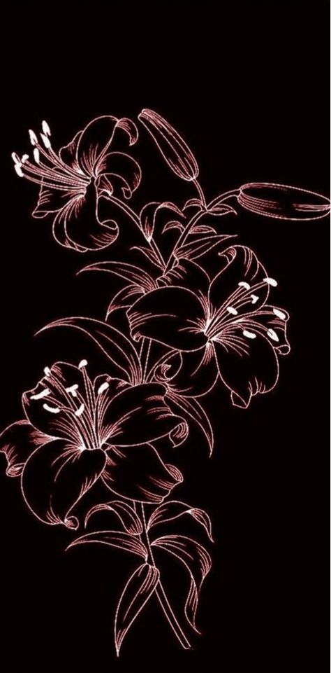 Line Art Images Black, White Flower Drawing On Black Paper, White Line Art On Black Background, Scratchboard Art Ideas, Black Line Art Wallpaper, Wallpaper Bright, Line Art Images, Scratchboard Art, Black Paper Drawing