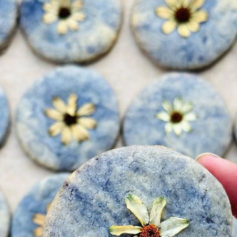 Loria Stern on Instagram: "🕊️ Sky Cookies for Peace 🕊️ Absolutely heartbroken about the events unfolding along the Palestine-Israel border. What is one to do? Well this one (i.e. me) is baking a new cookie that looks like the sky and tastes like…heaven? Marbled butterfly pea flower + vanilla shortbread dough pressed with edible sun daises. 🕊️ With each box sold, proceeds will be donated to @together.rising , an organization dedicated to providing aid and relief in the wake of the heartbreakin Butterfly Pea Cookies, Butterfly Pea Flower Cookies, Vanilla Shortbread, Dough Press, Butterfly Pea Flower, Butterfly Pea, Pea Flower, Flower Cookies, Peas