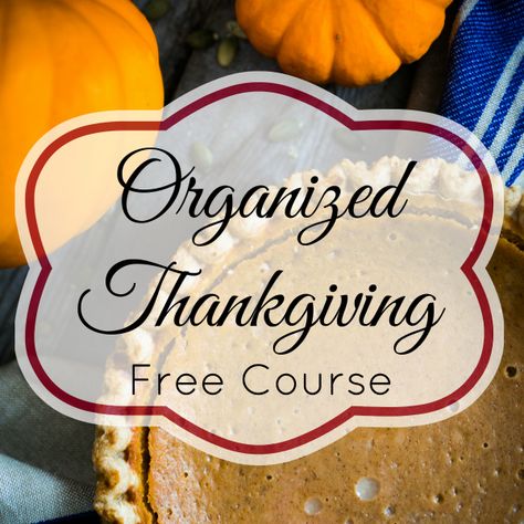 Do you start feeling stressed this time of year? Sign up for this FREE 3-day Organized Thanksgiving eCourse that features easy, actionable steps and printables to help you get organized! Thanksgiving Planning, Thanksgiving Planner, Money Saving Mom, Retro Housewife, Enjoy The Day, Thanksgiving Ideas, Planning Guide, Thanksgiving Crafts, Fall Holidays