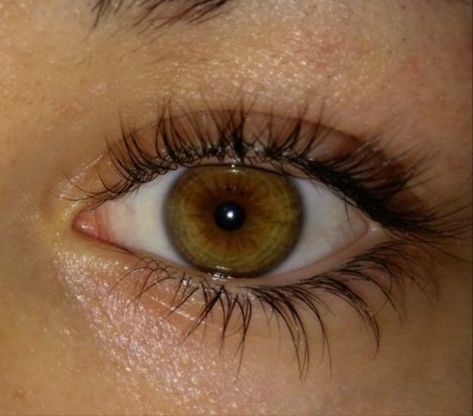 Hazle Eyes, Honey Eyes Color, Honey Eyes, Hazel Green Eyes, Beautiful Eyes Color, Hazel Green, Amber Eyes, Eye Photography, Aesthetic Eyes